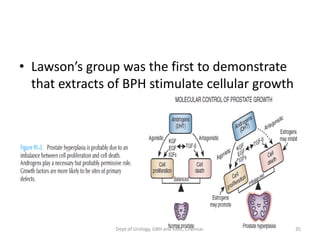 • Lawson’s group was the first to demonstrate
that extracts of BPH stimulate cellular growth
35
Dept of Urology, GRH and KMC, Chennai.
 