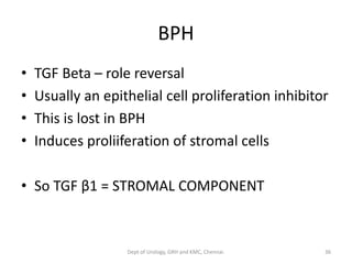 BPH
• TGF Beta – role reversal
• Usually an epithelial cell proliferation inhibitor
• This is lost in BPH
• Induces proliiferation of stromal cells
• So TGF β1 = STROMAL COMPONENT
36
Dept of Urology, GRH and KMC, Chennai.
 