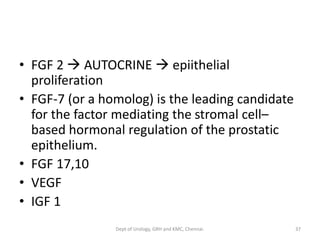 • FGF 2 → AUTOCRINE → epiithelial
proliferation
• FGF-7 (or a homolog) is the leading candidate
for the factor mediating the stromal cell–
based hormonal regulation of the prostatic
epithelium.
• FGF 17,10
• VEGF
• IGF 1
37
Dept of Urology, GRH and KMC, Chennai.
 