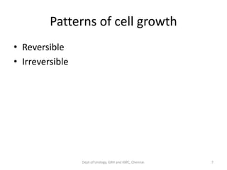 Patterns of cell growth
• Reversible
• Irreversible
7
Dept of Urology, GRH and KMC, Chennai.
 
