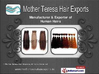 Manufacturer & Exporter of
Human Hairs
 