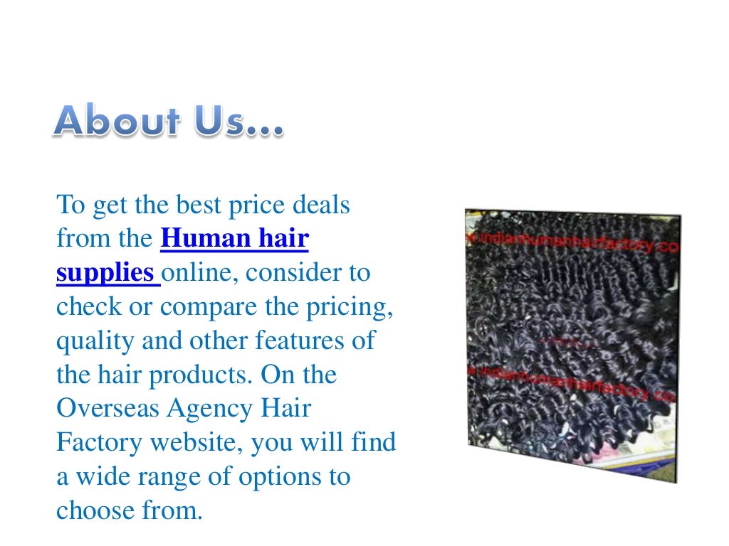 Human Hair Supplies from Overseas Agency