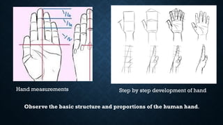 Human Hand Drawing -proportion and gesture | PPTX