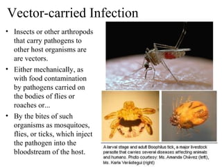 Human health and disease | PPT