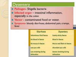 Dysentery
⚫ Pathogen- Shigella bacteria
⚫ Infected organ – intestinal inflammation,
especially in the colon
⚫ Vector - contaminated food or water.
⚫ Symptoms- bloody diarrhoea, abdominal pain, cramps,
fever
 