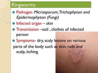 Ringworms
⚫ Pathogen Microsporum,Trichophyton and
Epidermophyton (Fungi)
⚫ Infected organ – skin
⚫ Transmission –soil , clothes of infected
person
⚫ Symptoms- dry, scaly lesions on various
parts of the body such as skin, nails and
scalp, itching
 