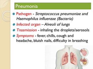 Pneumonia
⚫ Pathogen - Streptococcus pneumoniae and
Haemophilus influenzae (Bacteria)
⚫ Infected organ – Alveoli of lungs
⚫ Tnasmission - inhaling the droplets/aerosols
⚫ Symptoms - fever, chills, cough and
headache, bluish nails, difficulty in breathing
 