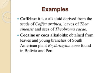 Cocoine Example Human Health and Diseases | PPTX
