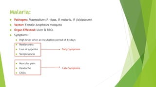 Malaria:
 Pathogen: Plasmodium (P. vivax, P. malaria, P. falciparum)
 Vector: Female Anopheles mosquito
 Organ Effected: Liver & RBCs
 Symptoms:
 High fever after an incubation period of 14 days
 Restlessness
 Loss of appetite Early Symptoms
 Sleeplessness
 Muscular pain
 Headache Late Symptoms
 Chills
 