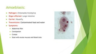 Amoebiasis:
 Pathogen: Entamoeba histolytica
 Organ effected: Large intestine
 Carrier: Housefly
 Transmission: Contaminated food and water
 Symptoms:
 Abdominal Pain
 Constipation
 Cramps
 Stool with excess mucous and blood clots
 
