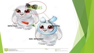 DISEASES
CONGENITALINFECTIOUS
NON- INFECTIOUS
 