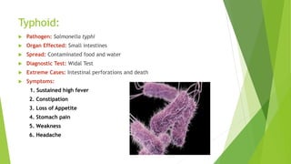 Typhoid:
 Pathogen: Salmonella typhi
 Organ Effected: Small intestines
 Spread: Contaminated food and water
 Diagnostic Test: Widal Test
 Extreme Cases: Intestinal perforations and death
 Symptoms:
1. Sustained high fever
2. Constipation
3. Loss of Appetite
4. Stomach pain
5. Weakness
6. Headache
 