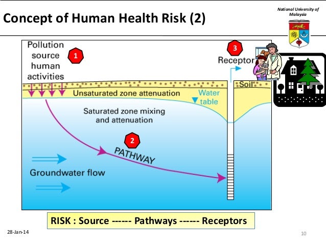 Human health risk assessment