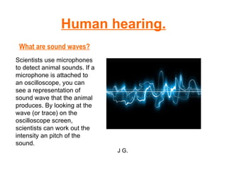 Human hearing. What are sound waves? Scientists use microphones to detect animal sounds. If a microphone is attached to an oscilloscope, you can see a representation of sound wave that the animal produces. By looking at the wave (or trace) on the oscilloscope screen, scientists can work out the intensity an pitch of the sound. J G. 