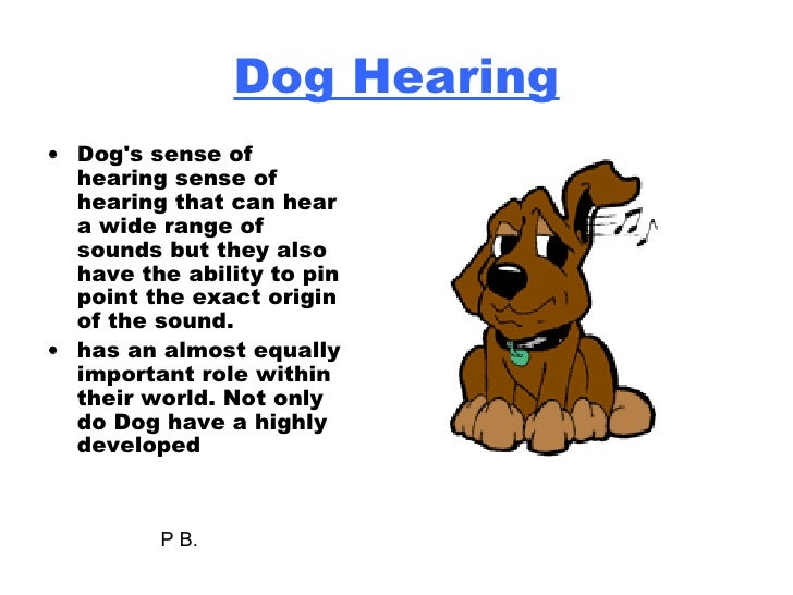 Human Hearing