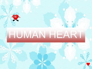 HUMAN HEART
 