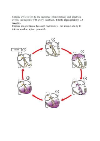 Human heart | DOCX
