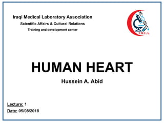 HUMAN HEART
Hussein A. Abid
Iraqi Medical Laboratory Association
Scientific Affairs & Cultural Relations
Training and development center
Lecture: 1
Date: 05/08/2018
 