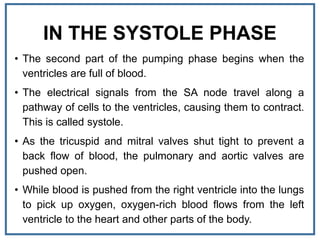 IN THE SYSTOLE PHASE
• The second part of the pumping phase begins when the
ventricles are full of blood.
• The electrical signals from the SA node travel along a
pathway of cells to the ventricles, causing them to contract.
This is called systole.
• As the tricuspid and mitral valves shut tight to prevent a
back flow of blood, the pulmonary and aortic valves are
pushed open.
• While blood is pushed from the right ventricle into the lungs
to pick up oxygen, oxygen-rich blood flows from the left
ventricle to the heart and other parts of the body.
 