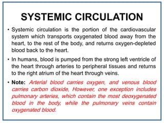 SYSTEMIC CIRCULATION
• Systemic circulation is the portion of the cardiovascular
system which transports oxygenated blood away from the
heart, to the rest of the body, and returns oxygen-depleted
blood back to the heart.
• In humans, blood is pumped from the strong left ventricle of
the heart through arteries to peripheral tissues and returns
to the right atrium of the heart through veins.
• Note: Arterial blood carries oxygen, and venous blood
carries carbon dioxide, However, one exception includes
pulmonary arteries, which contain the most deoxygenated
blood in the body, while the pulmonary veins contain
oxygenated blood.
 
