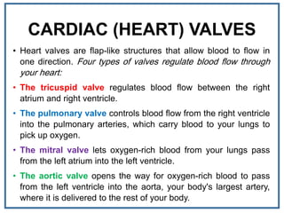 CARDIAC (HEART) VALVES
• Heart valves are flap-like structures that allow blood to flow in
one direction. Four types of valves regulate blood flow through
your heart:
• The tricuspid valve regulates blood flow between the right
atrium and right ventricle.
• The pulmonary valve controls blood flow from the right ventricle
into the pulmonary arteries, which carry blood to your lungs to
pick up oxygen.
• The mitral valve lets oxygen-rich blood from your lungs pass
from the left atrium into the left ventricle.
• The aortic valve opens the way for oxygen-rich blood to pass
from the left ventricle into the aorta, your body's largest artery,
where it is delivered to the rest of your body.
 