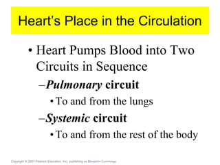 Heart’s Place in the Circulation
• Heart Pumps Blood into Two
Circuits in Sequence
–Pulmonary circuit
•To and from the lungs
–Systemic circuit
•To and from the rest of the body
Copyright © 2007 Pearson Education, Inc., publishing as Benjamin Cummings
 