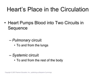 Heart’s Place in the Circulation
• Heart Pumps Blood into Two Circuits in
Sequence
– Pulmonary circuit
• To and from the lungs
– Systemic circuit
• To and from the rest of the body
Copyright © 2007 Pearson Education, Inc., publishing as Benjamin Cummings
 