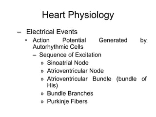 Heart Physiology
– Electrical Events
• Action Potential Generated by
Autorhythmic Cells
– Sequence of Excitation
» Sinoatrial Node
» Atrioventricular Node
» Atrioventricular Bundle (bundle of
His)
» Bundle Branches
» Purkinje Fibers
 