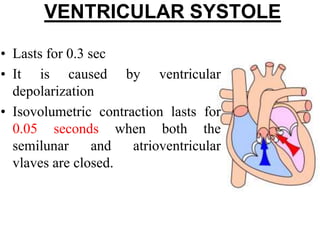 VENTRICULAR SYSTOLE
• Lasts for 0.3 sec
• It is caused by ventricular
depolarization
• Isovolumetric contraction lasts for
0.05 seconds when both the
semilunar and atrioventricular
vlaves are closed.
 