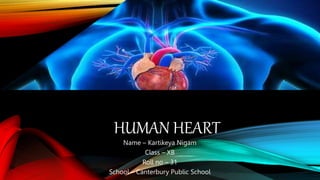 HUMAN HEART
Name – Kartikeya Nigam
Class – XB
Roll no – 31
School – Canterbury Public School
 