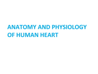ANATOMY AND PHYSIOLOGY
OF HUMAN HEART
 