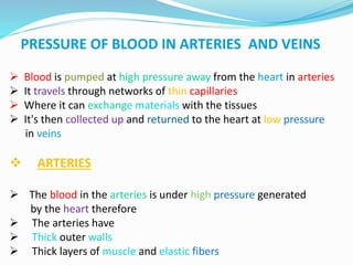 PRESSURE OF BLOOD IN ARTERIES AND VEINS
 Blood is pumped at high pressure away from the heart in arteries
 It travels through networks of thin capillaries
 Where it can exchange materials with the tissues
 It's then collected up and returned to the heart at low pressure
in veins
 ARTERIES
 The blood in the arteries is under high pressure generated
by the heart therefore
 The arteries have
 Thick outer walls
 Thick layers of muscle and elastic fibers
 