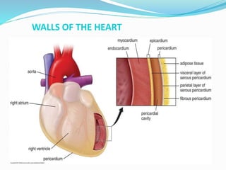 WALLS OF THE HEART
 