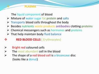  PLASMA
The liquid component of blood
 Mixture of water sugar fat protein and salts
 Transports blood cells throughout the body
 Besides nutrients waste products antibodies clotting proteins
 Chemical messengers such as hormones and proteins
 That help maintain body fluid balance
 RED BLOOD CELLS ( Erythrocytes)
 Bright red coloured cells
 The most abundant cell in the blood
 The shape of a red blood cell is a biconcave disc
(looks like a donut)
 