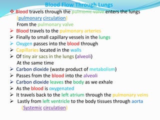 Blood Flow Through Lungs
 Blood travels through the pulmonic valve enters the lungs
(pulmonary circulation)
From the pulmonary valve
 Blood travels to the pulmonary arteries
 Finally to small capillary vessels in the lungs
 Oxygen passes into the blood through
 Capillaries located in the walls
 Of tiny air sacs in the lungs (alveoli)
At the same time
 Carbon dioxide (waste product of metabolism)
 Passes from the blood into the alveoli
 Carbon dioxide leaves the body as we exhale
 As the blood is oxygenated
 It travels back to the left atrium through the pulmonary veins
 Lastly from left ventricle to the body tissues through aorta
(Systemic circulation)
 