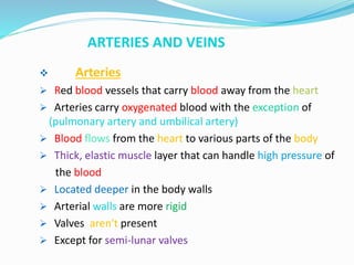 ARTERIES AND VEINS
 Arteries
 Red blood vessels that carry blood away from the heart
 Arteries carry oxygenated blood with the exception of
(pulmonary artery and umbilical artery)
 Blood flows from the heart to various parts of the body
 Thick, elastic muscle layer that can handle high pressure of
the blood
 Located deeper in the body walls
 Arterial walls are more rigid
 Valves aren't present
 Except for semi-lunar valves
 