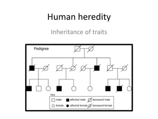 Human heredity
Inheritance of traits
 