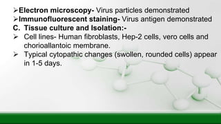 Electron microscopy- Virus particles demonstrated
Immunofluorescent staining- Virus antigen demonstrated
C. Tissue culture and Isolation:-
 Cell lines- Human fibroblasts, Hep-2 cells, vero cells and
chorioallantoic membrane.
 Typical cytopathic changes (swollen, rounded cells) appear
in 1-5 days.
 