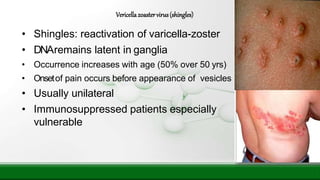 • Shingles: reactivation of varicella-zoster
• DNAremains latent in ganglia
• Occurrence increases with age (50% over 50 yrs)
• Onsetof pain occurs before appearance of vesicles
• Usually unilateral
• Immunosuppressed patients especially
vulnerable
Vericellazoastervirus(shingles)
 
