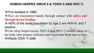 HUMAN HERPES VIRUS 6 & 7(HHV 6 AND HHV 7)
First isolated in 1986.
They are transmitted mainly through contact with saliva and
through breast feeding.
>90% of the world population by age 2 are HHV-6 and 7
positive.
Like other herpesviruses, HHV-6 and HHV-7 remains latent in
the body after primary infection and reactivates from time to time.
Infects CD4+ T-cells
 