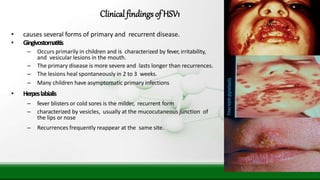• causes several forms of primary and recurrent disease.
• Gingivostomatitis
– Occurs primarily in children and is characterized by fever, irritability,
and vesicular lesions in the mouth.
– The primary disease is more severe and lasts longer than recurrences.
– The lesions heal spontaneously in 2 to 3 weeks.
– Many children have asymptomatic primary infections
• Herpeslabialis
– fever blisters or cold sores is the milder, recurrent form
– characterized by vesicles, usually at the mucocutaneous junction of
the lips or nose
– Recurrences frequently reappear at the same site.
Clinical findingsof HSV1
 