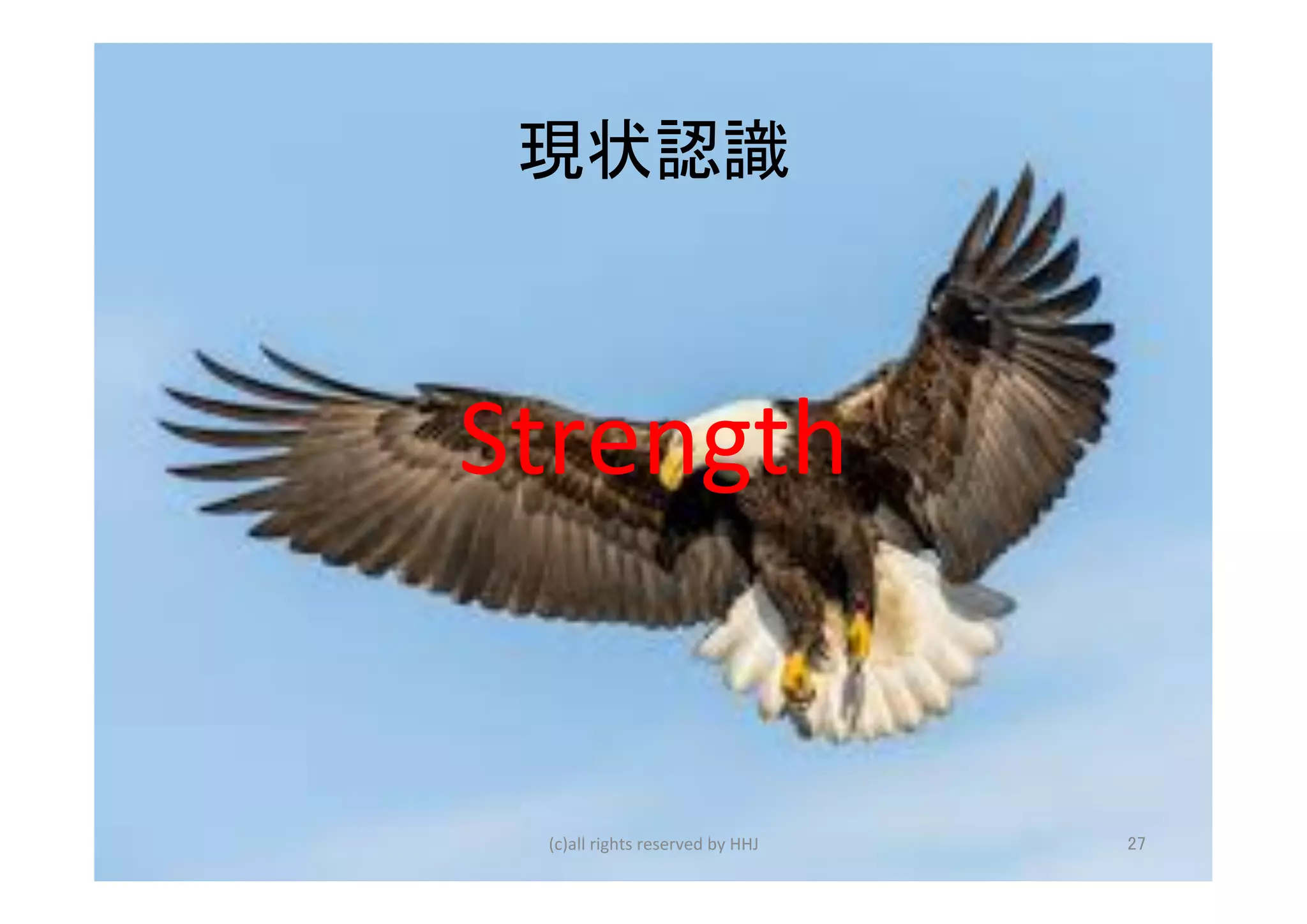 現状認識	
Strength	
(c)all	rights	reserved	by	HHJ	 27	
 