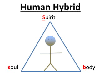 Human Hybrid
Spirit
soul body
 