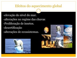 Efeitos do aquecimento global
-elevação do nível do mar.
-alterações no regime das chuvas
-Proliferação de insetos.
-desertificação
-alterações de ecossistemas.
 