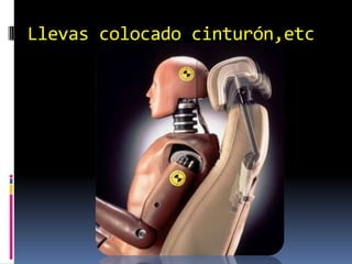 Llevas colocado cinturón,etc