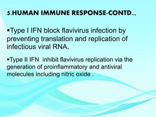 5.HUMAN IMMUNE RESPONSE-CONTD..,
Type I IFN block flavivirus infection by
preventing translation and replication of
infectious viral RNA.
Type II IFN inhibit flavivirus replication via the
generation of proinflammatory and antiviral
molecules including nitric oxide .
 