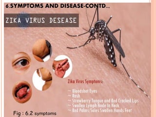 6.SYMPTOMS AND DISEASE-CONTD..,
Fig : 6.2 symptoms
 