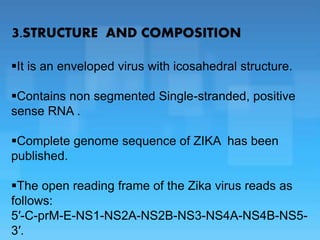 3.STRUCTURE AND COMPOSITION
It is an enveloped virus with icosahedral structure.
Contains non segmented Single-stranded, positive
sense RNA .
Complete genome sequence of ZIKA has been
published.
The open reading frame of the Zika virus reads as
follows:
5′-C-prM-E-NS1-NS2A-NS2B-NS3-NS4A-NS4B-N​S5-
3′.
 