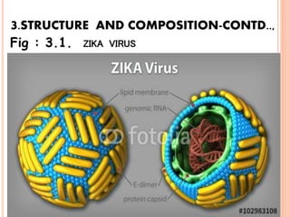 3.STRUCTURE AND COMPOSITION-CONTD..,
Fig : 3.1. ZIKA VIRUS
 