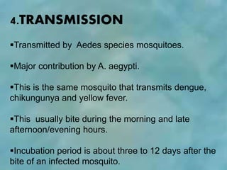 4.TRANSMISSION
Transmitted by Aedes species mosquitoes.
Major contribution by A. aegypti.
This is the same mosquito that transmits dengue,
chikungunya and yellow fever.
This usually bite during the morning and late
afternoon/evening hours.
Incubation period is about three to 12 days after the
bite of an infected mosquito.
 